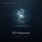 DNA Reparatur