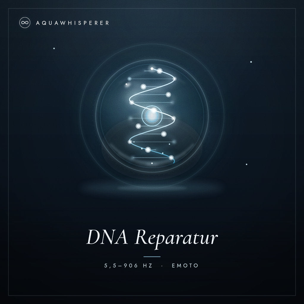DNA Reparatur