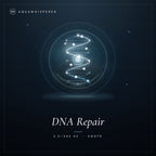 DNA Reparatur
