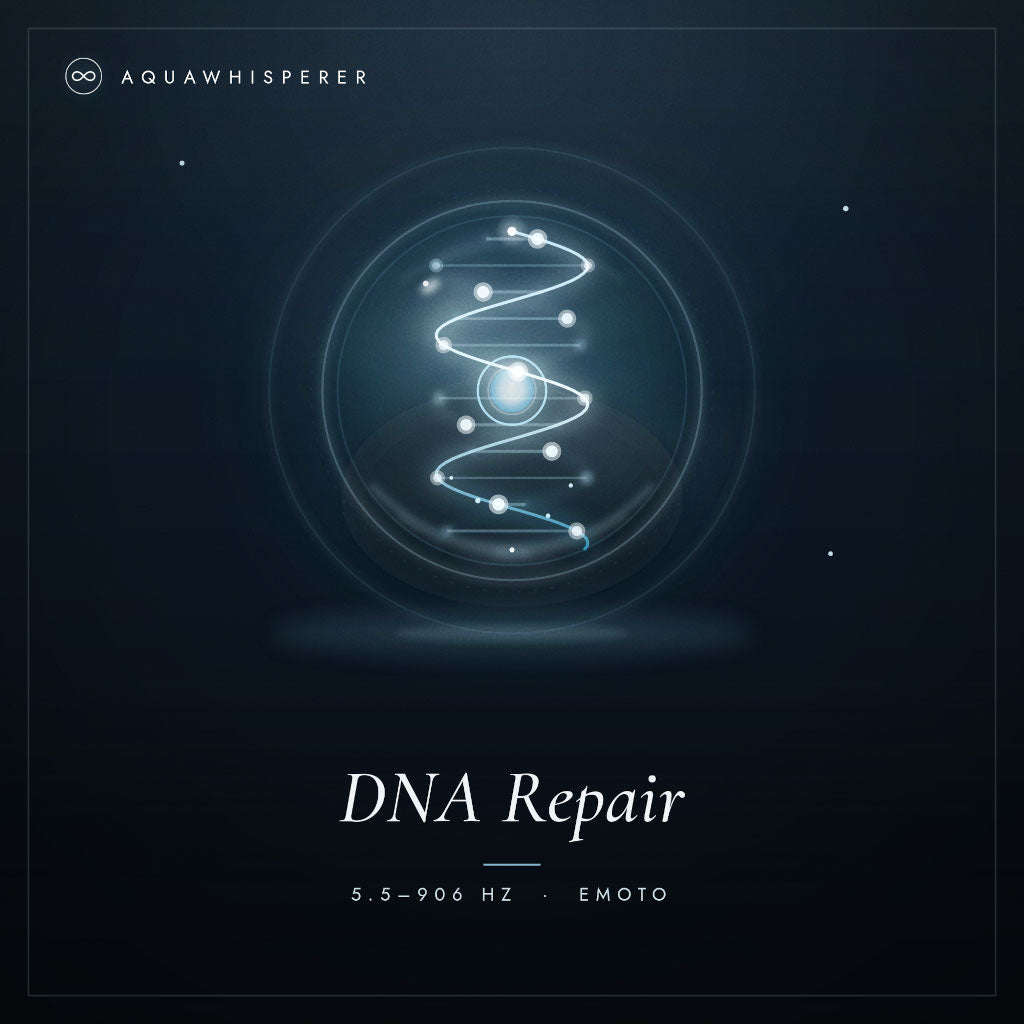 DNA Reparatur