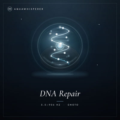 DNA Reparatur