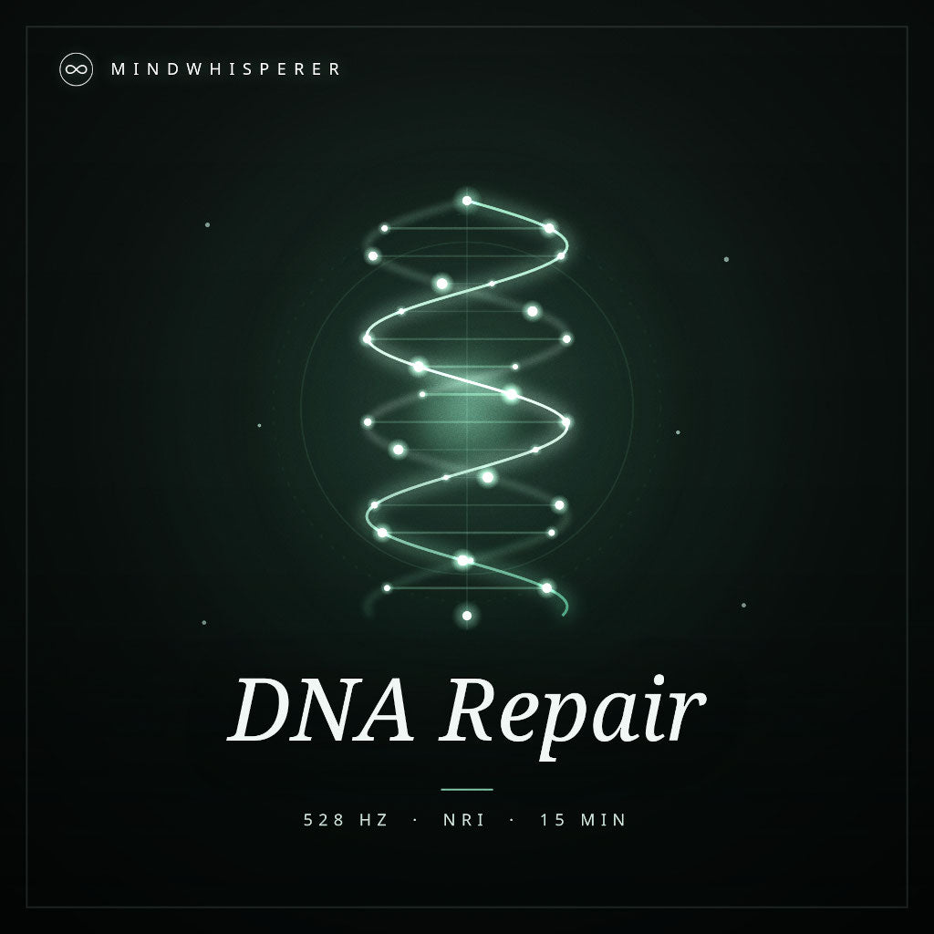 DNA Reparatur (Basic)