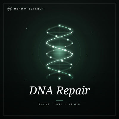 DNA Reparatur (Basic)